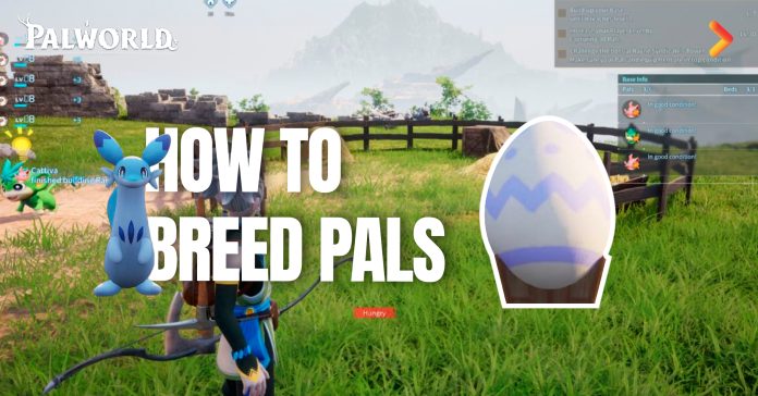 Palworld How To Breed Pals How to Hatch Eggs